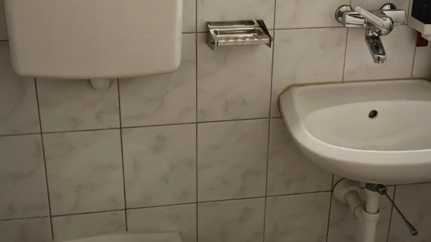 Commerciale in affitto - Oltnerstrasse, 4663 Aarburg - Photo 2