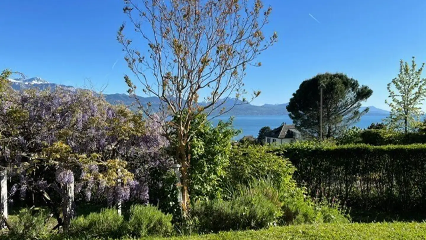 Wohnung mieten - Chemin Des Vignes 7, 1009 Pully - Foto 4