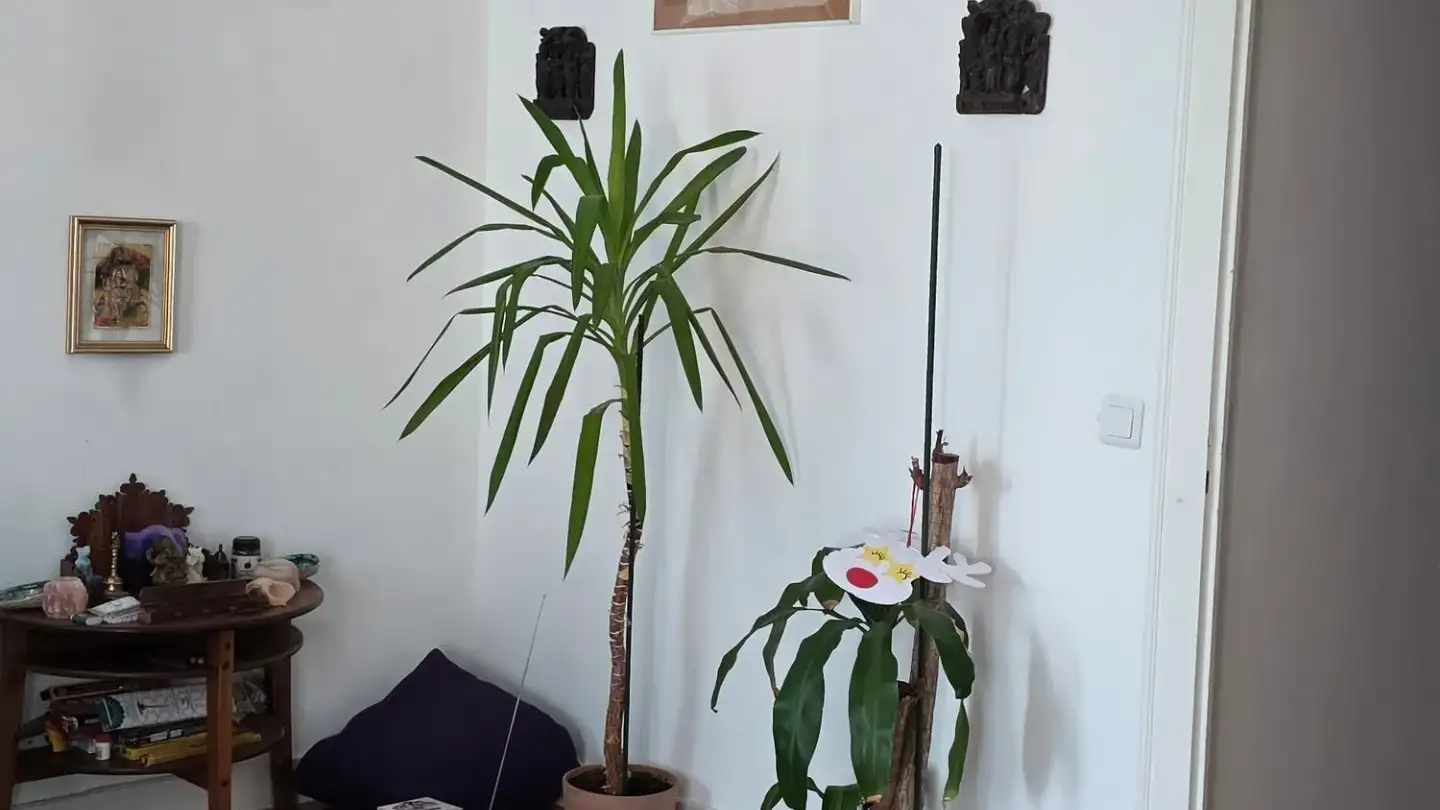 Wohnung mieten - Rue Simon-Durand, 1227 Les Acacias - Foto 3