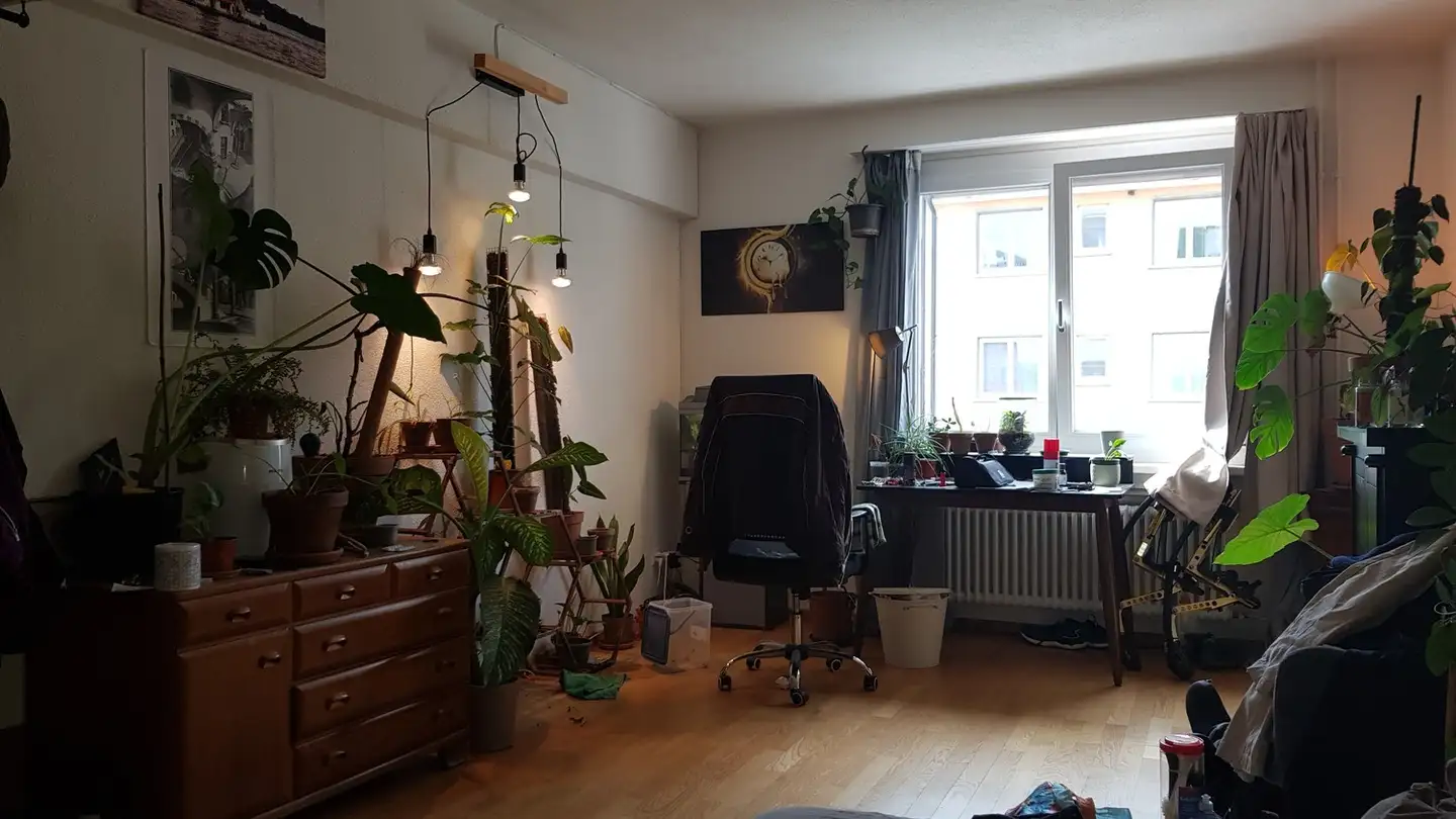Chambre à louer - Eichbühlstrasse 62, 8004 Zürich
