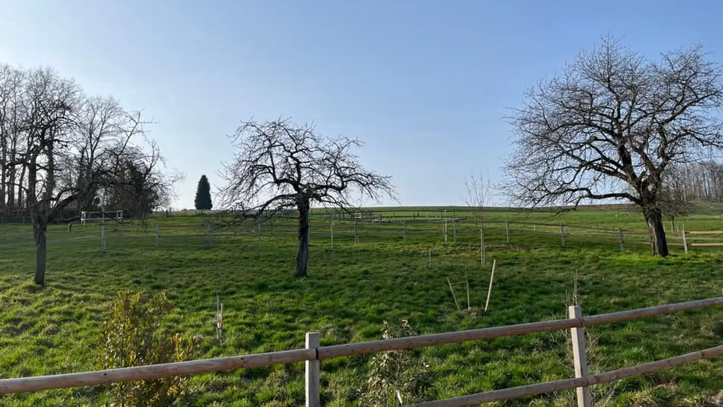 Casa singola in vendita - 1538 Treytorrens (Payerne)