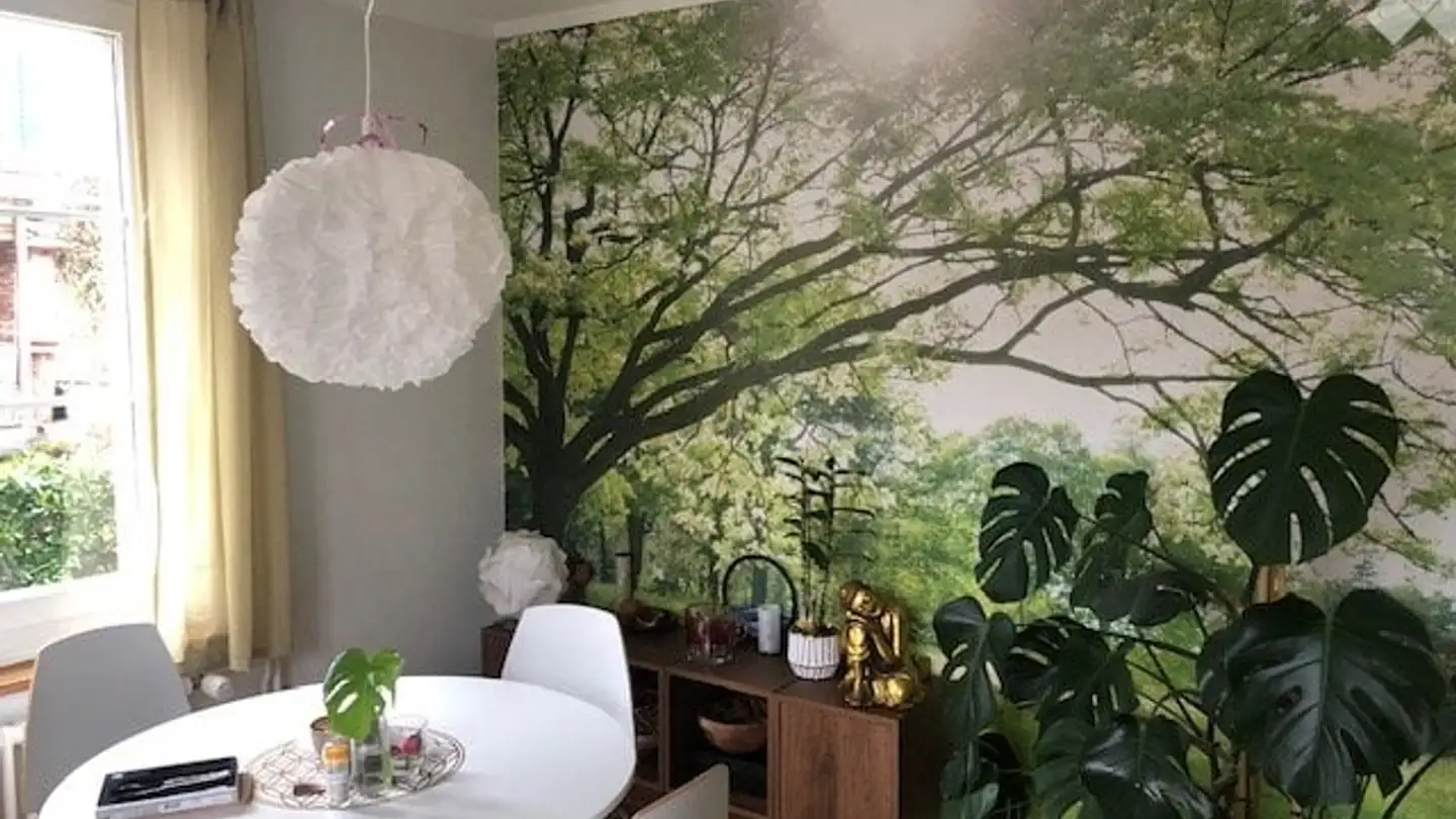 Appartamento in affitto - Finkenrain 2, 4800 Zofingen - Foto 3