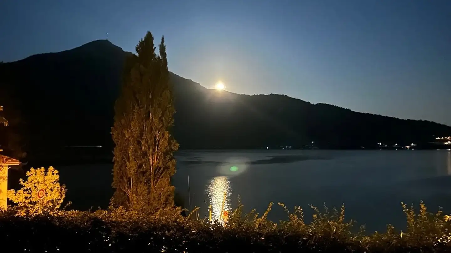 Appartement à louer - 6318 Walchwil - Photo 3