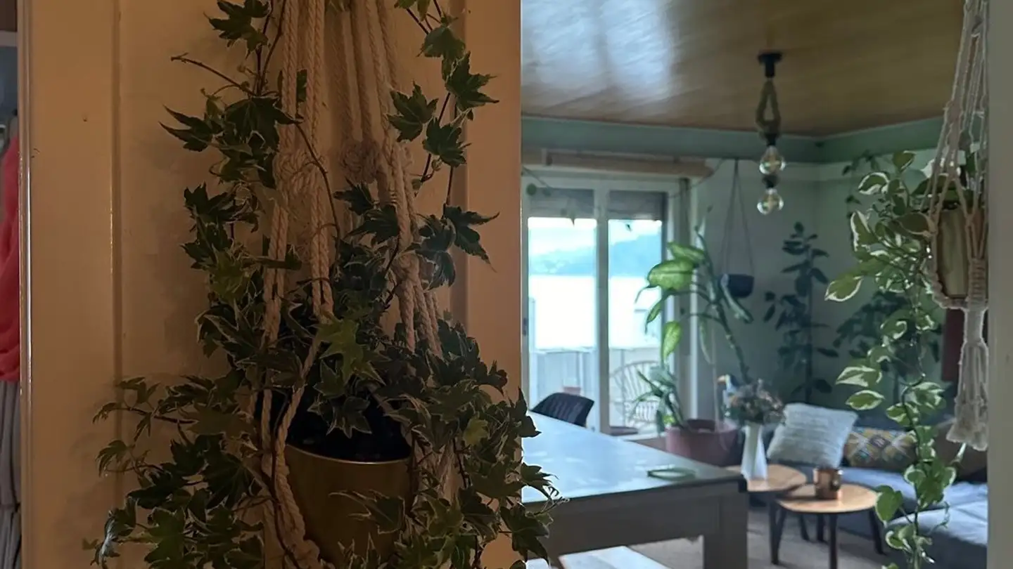 Appartement à louer - 6318 Walchwil - Photo 4