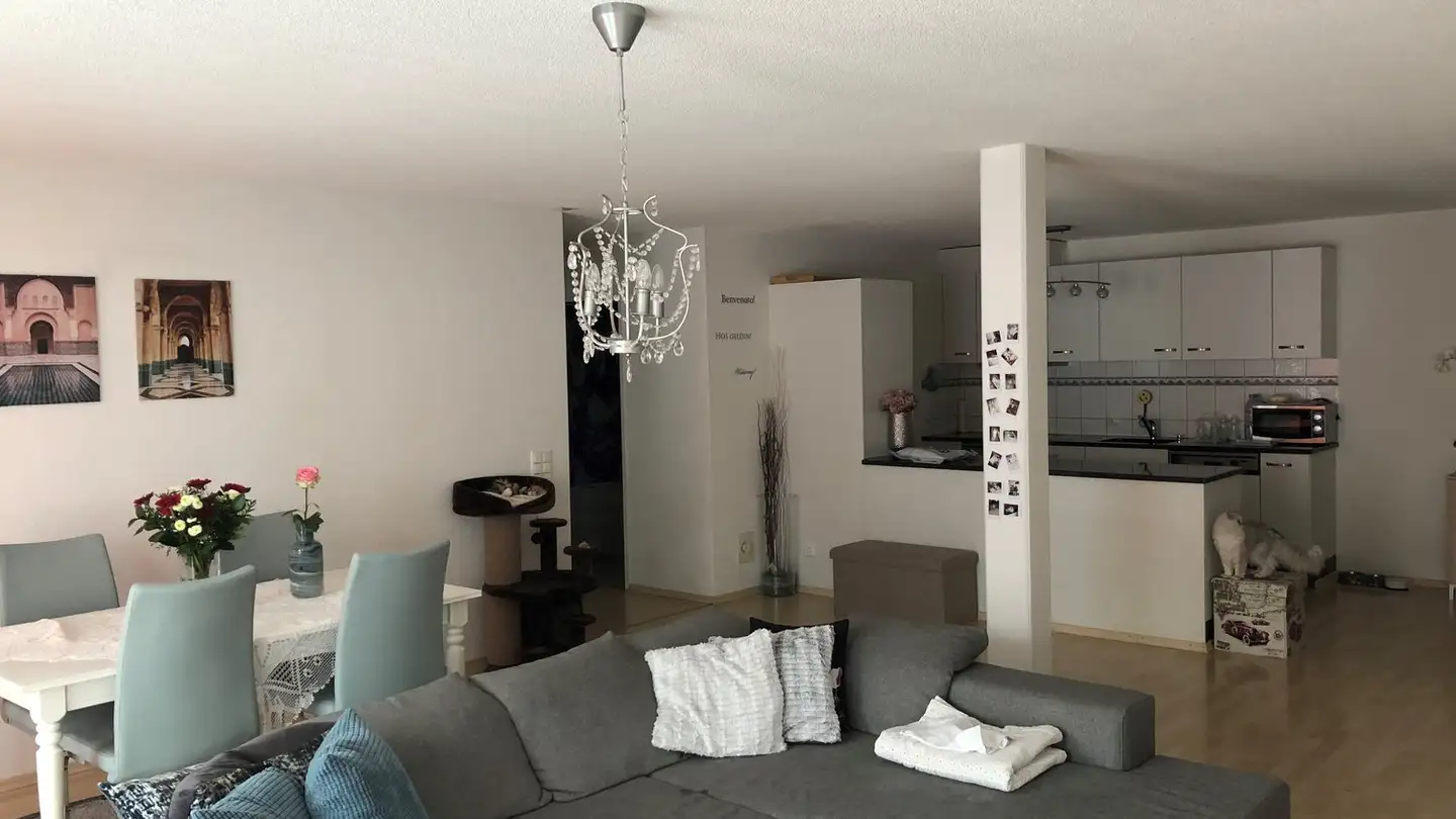 Appartamento in affitto - Schlossmühlestrasse 76, 8408 Winterthur - Foto 4
