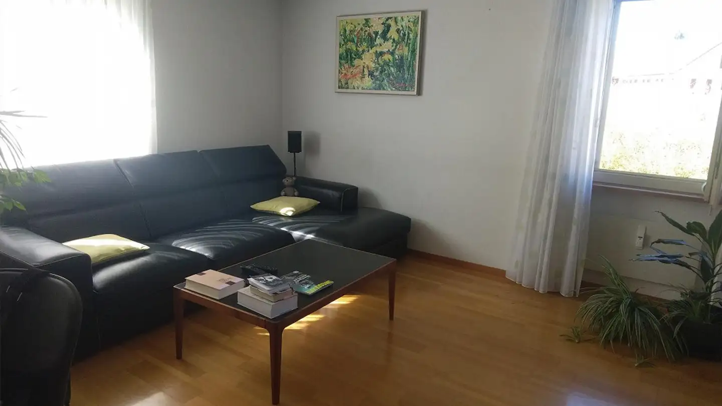 Appartement à louer - Kradolfstrasse 50, 8583 Sulgen - Photo 2