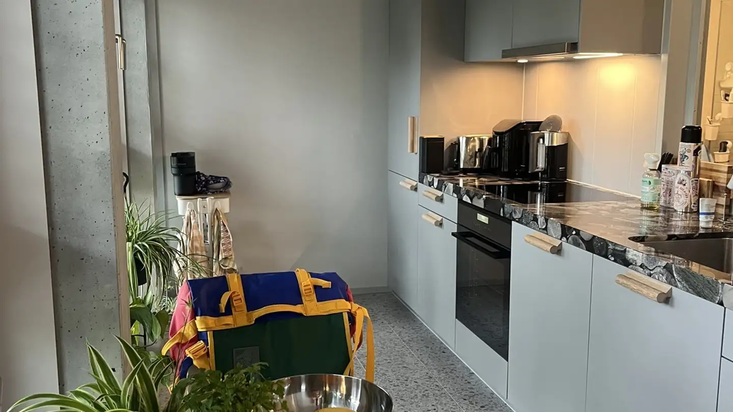 Appartamento in affitto - Birmensdorferstrasse 483, 8055 Zürich - Foto 2