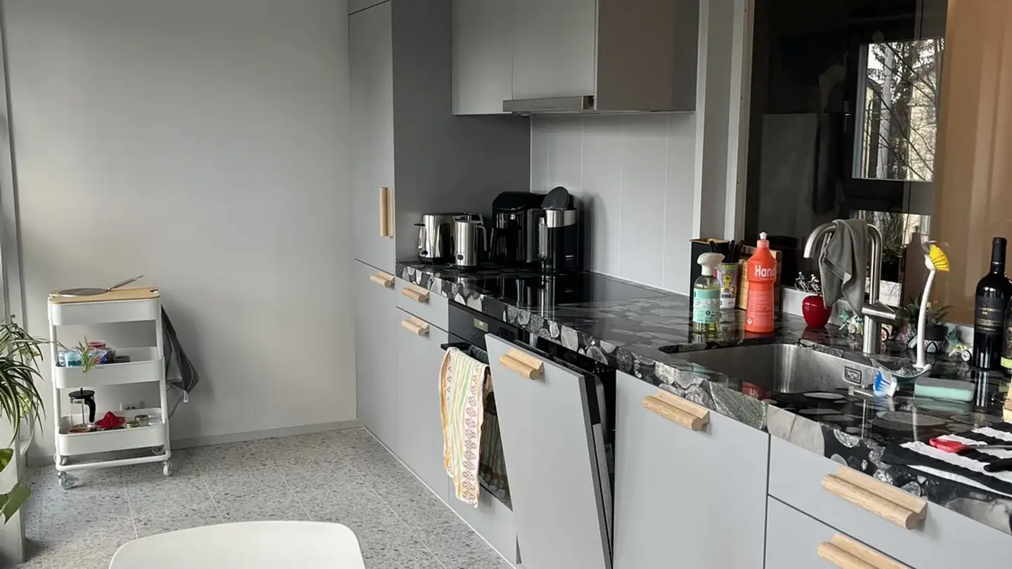 Appartamento in affitto - Birmensdorferstrasse 483, 8055 Zürich - Foto 3