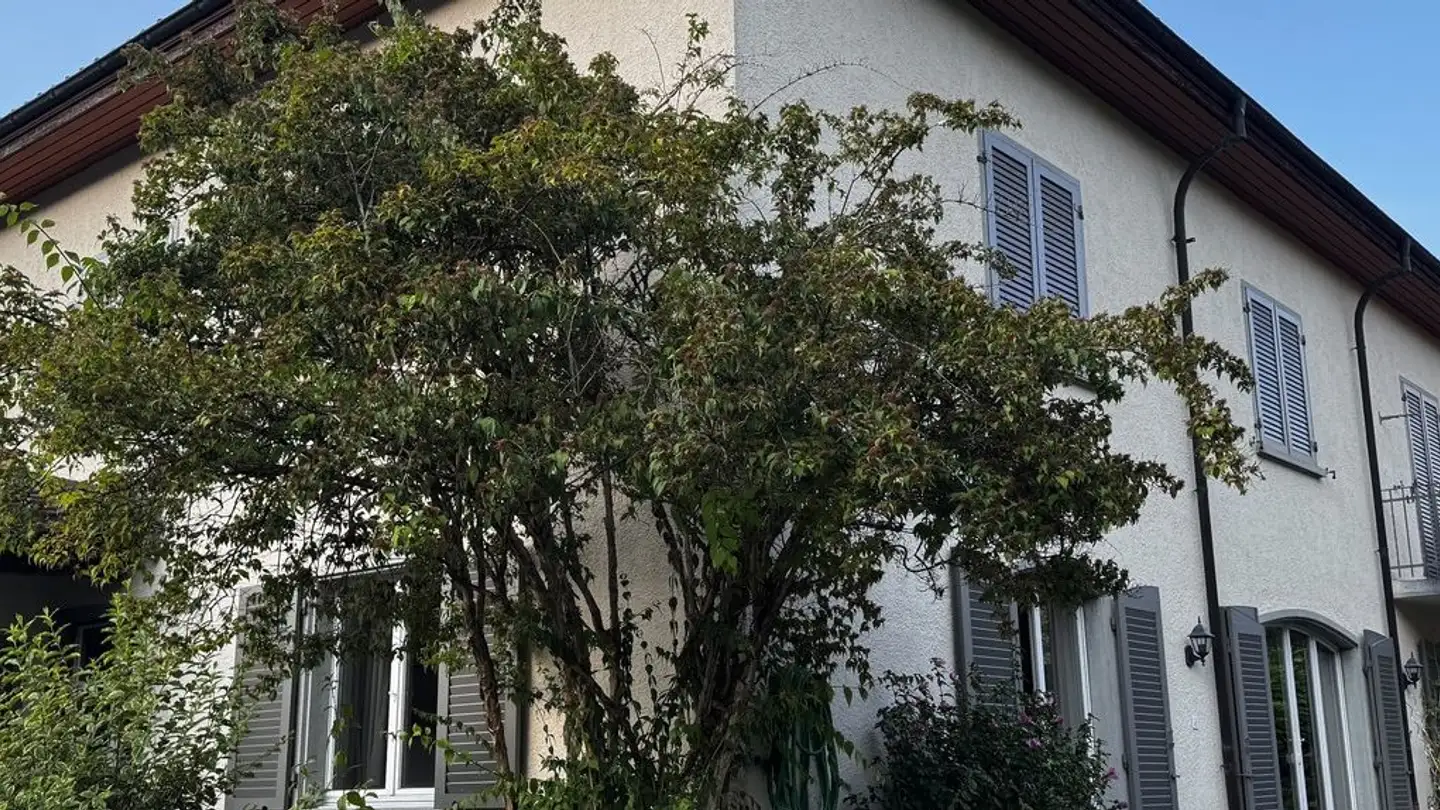 Stanza singola in affitto - Bachstrasse 3, 9470 Buchs SG - Foto 2