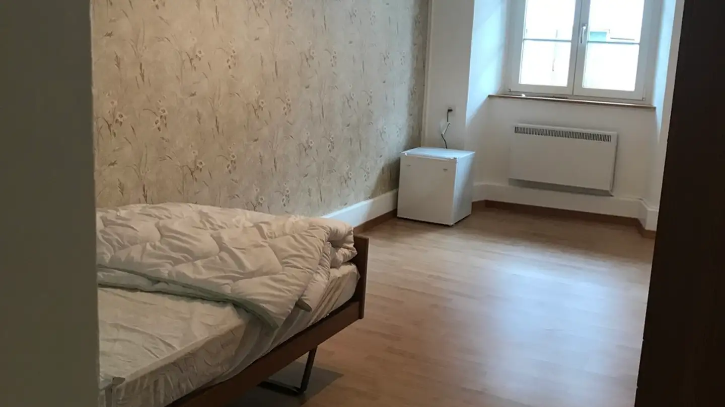 Single room for rent - Hauptstrasse, 4437 Waldenburg - Photo 2
