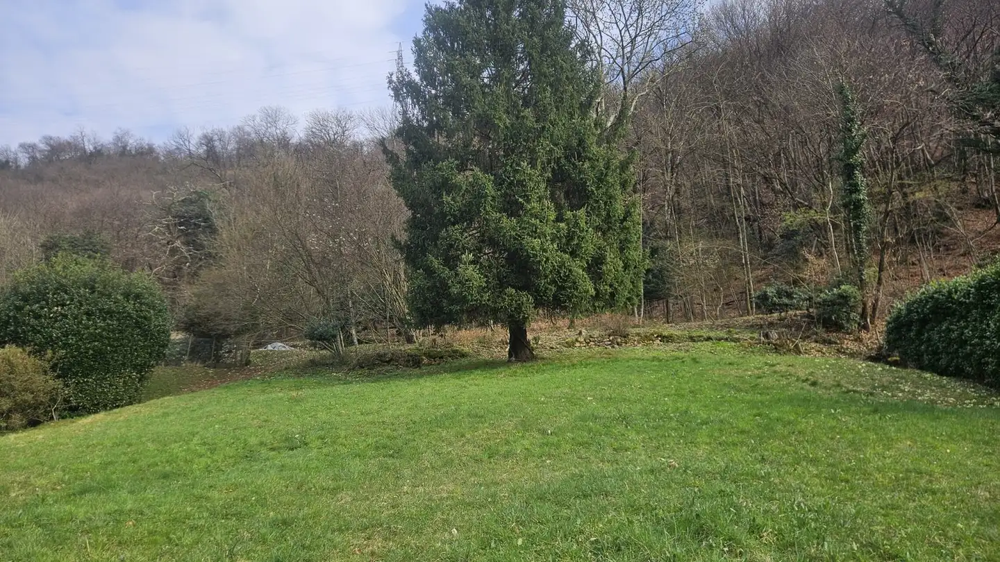 Commercial building plot for sale - 6917 Barbengo - Photo 4