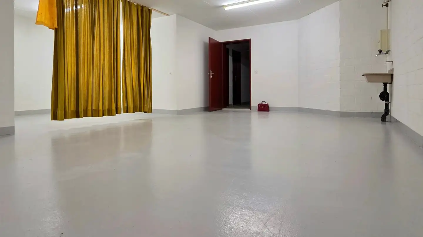 Atelier à louer - Rebbergstrasse 19, 8917 Oberlunkhofen - Photo 3