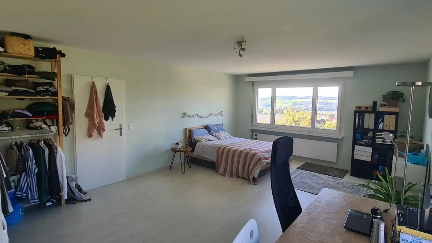 Single room for rent - Chapfstrasse, 8142 Uitikon Waldegg - Photo 3