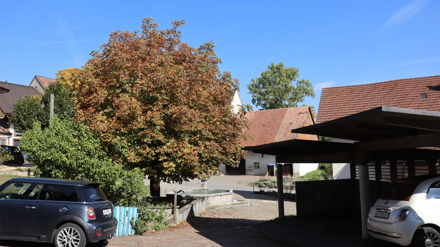 Appartement à louer - Dorfplatz 19, 4467 Rothenfluh - Photo 2