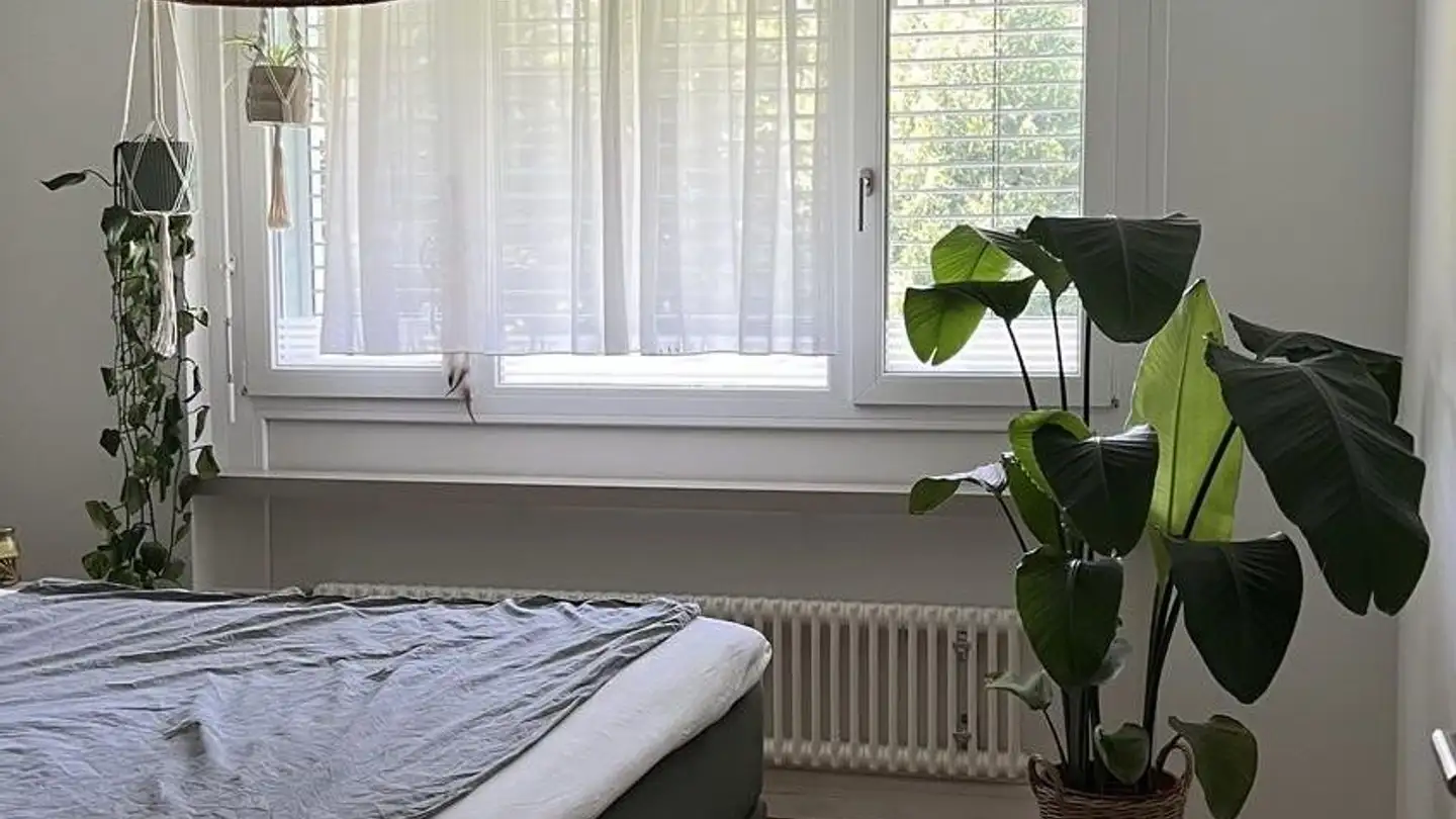Apartment for rent - 8134 Adliswil - Photo 3