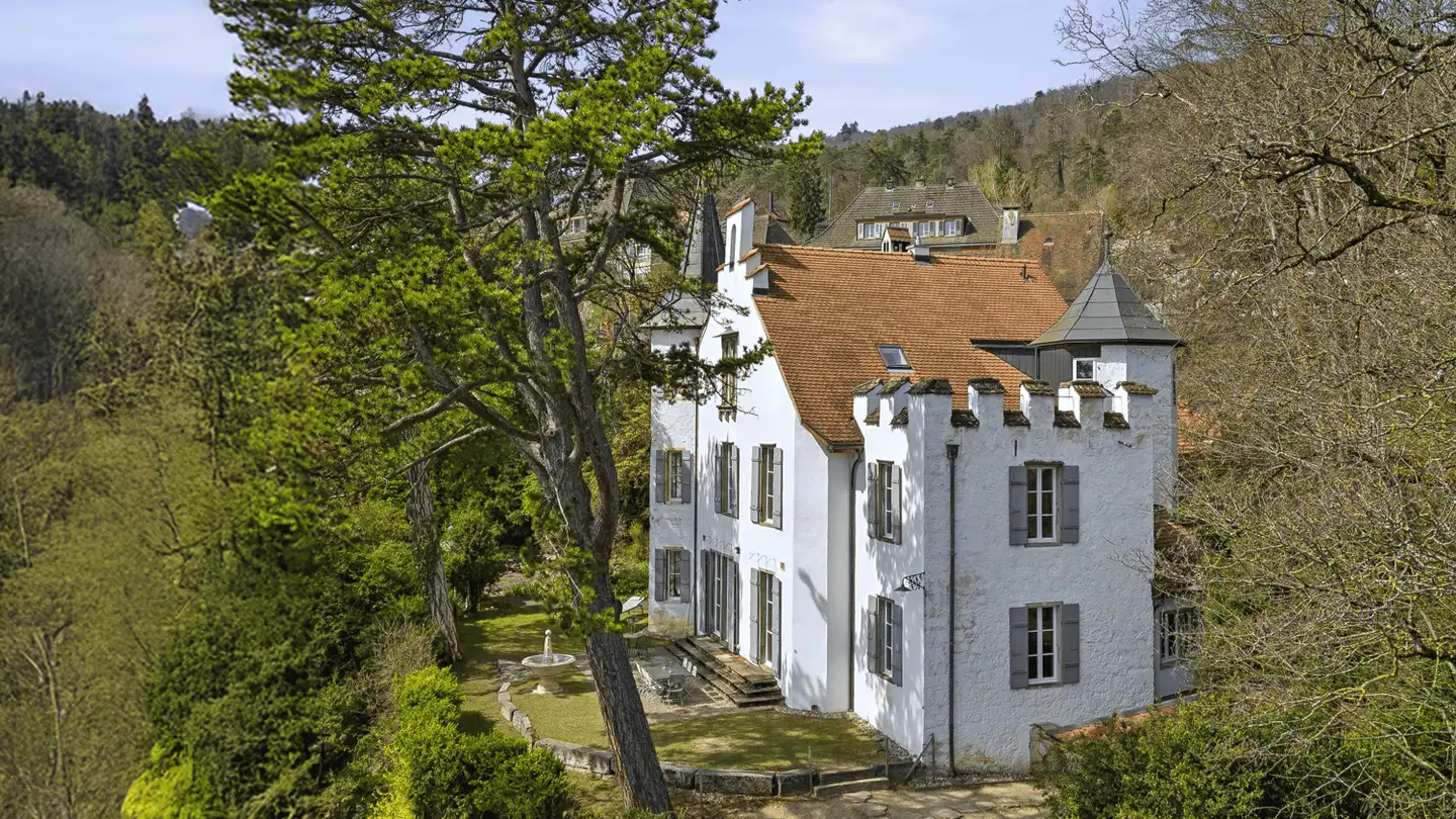 Castle for sale - Rue Des Alpes / Alpenstrasse 95, 2502 Biel/Bienne