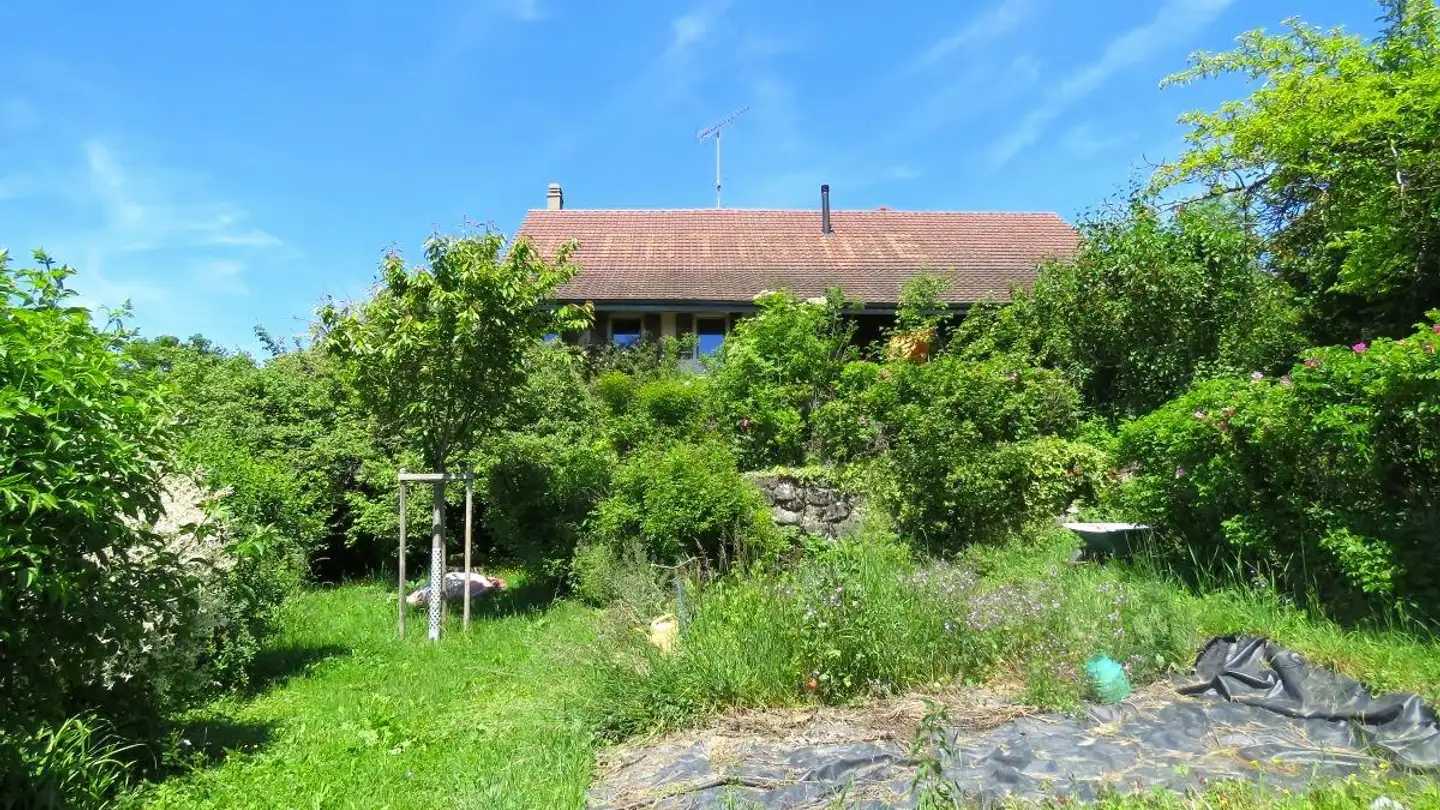 Einfamilienhaus kaufen - 1673 Promasens - Foto 4