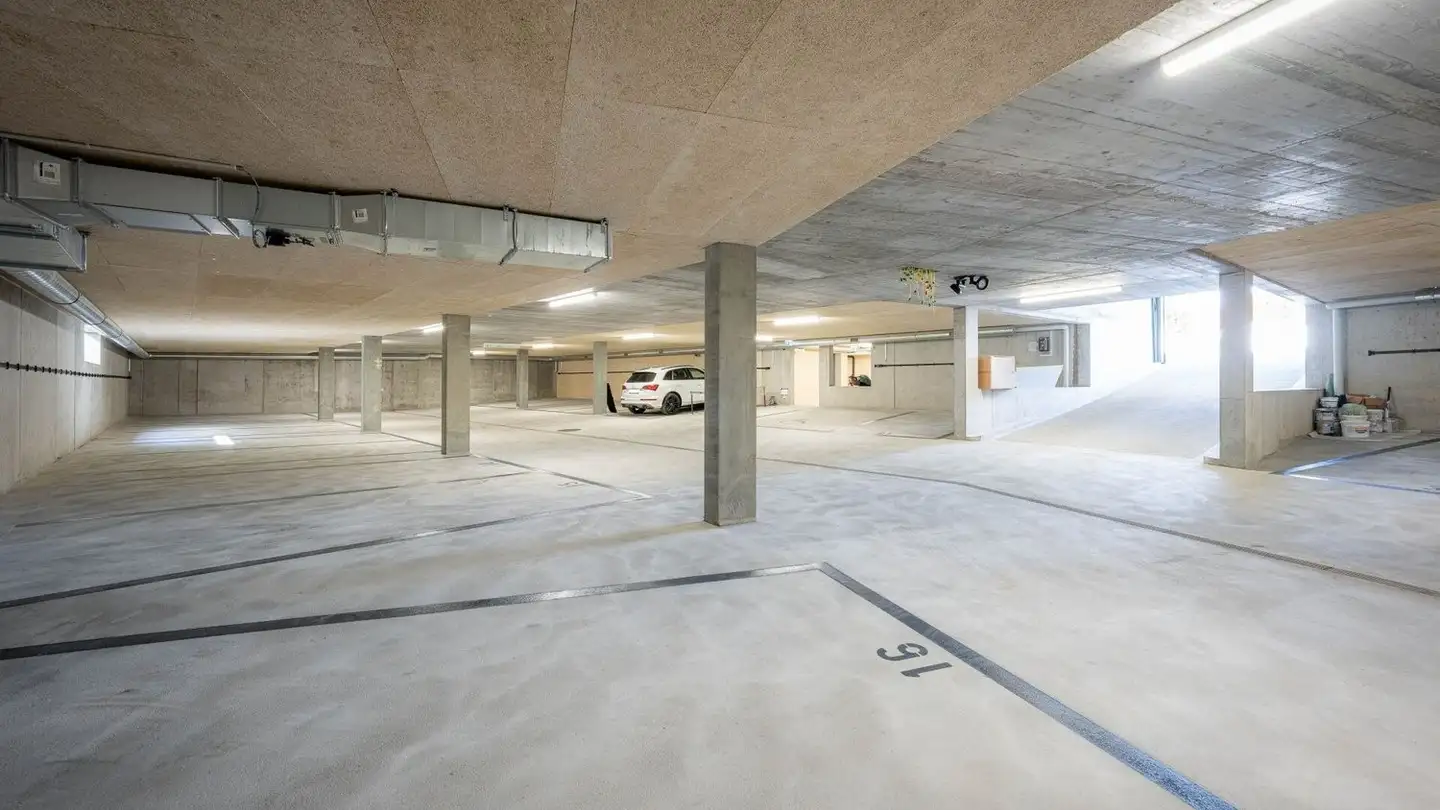 Garage singolo in affitto - Industriestrasse 40, 9463 Oberriet SG - Foto 3