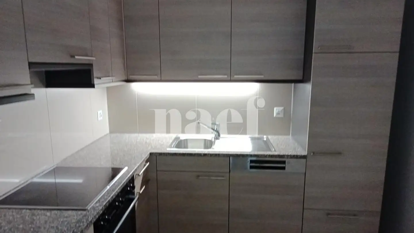 Appartement à louer - Avenue Adrien- Lachenal 25, 1290 Versoix