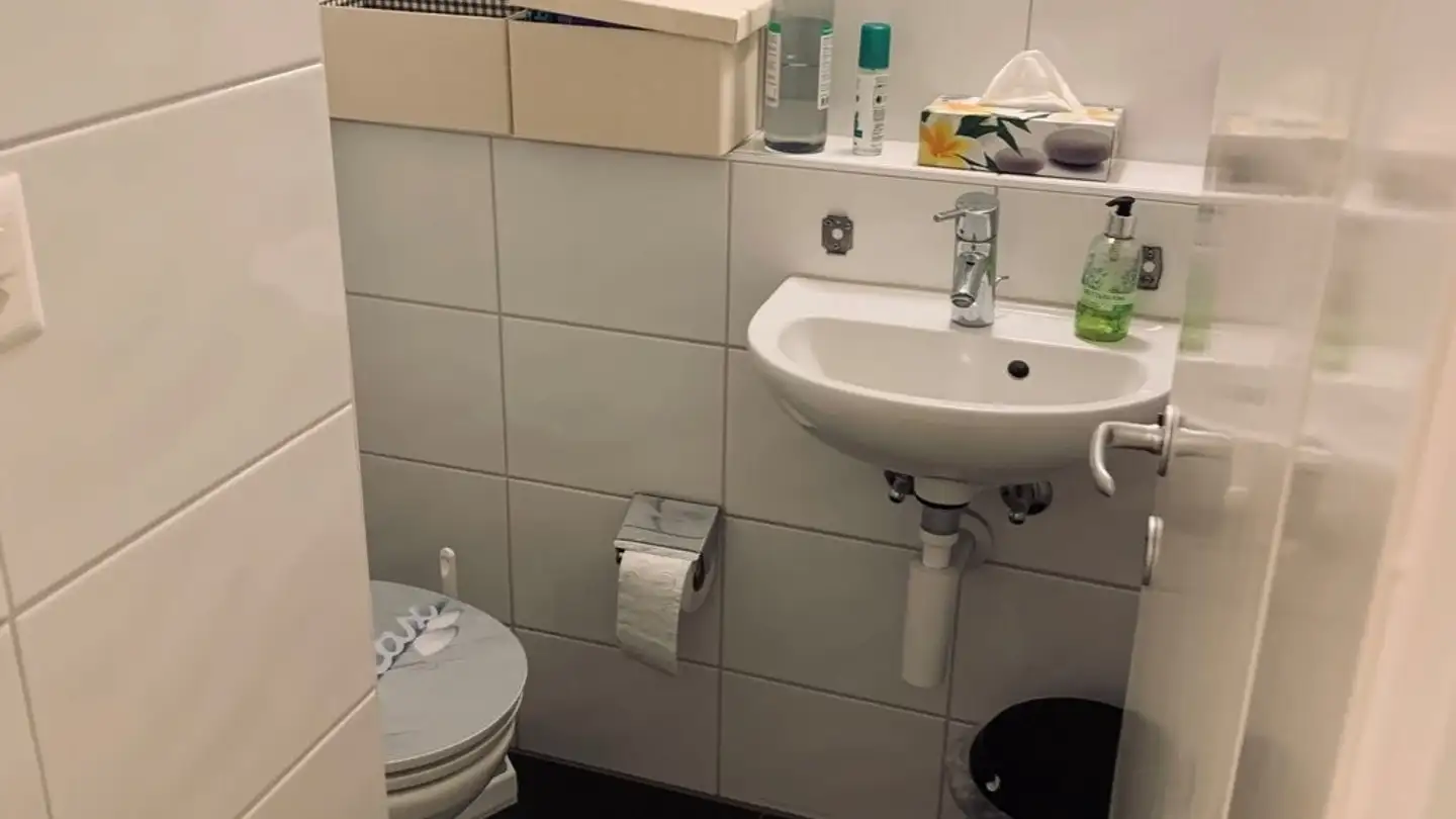 Spazio di archiviazione in affitto - Rue Peillonnex 36, 1225 Chêne-Bourg - Foto 4