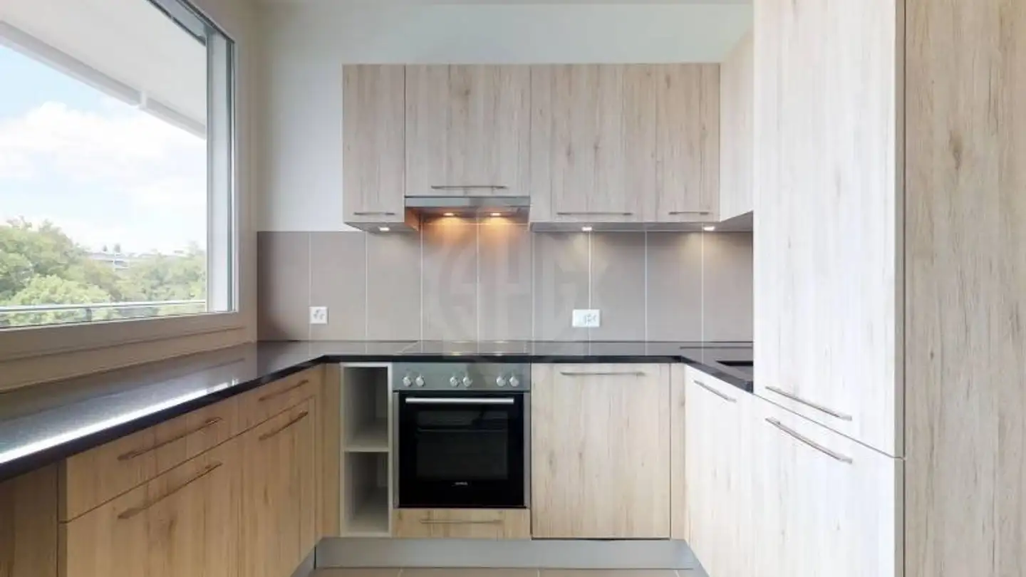 Appartamento in affitto - Rue De Moillebeau 52, 1209 Genève - Foto 4