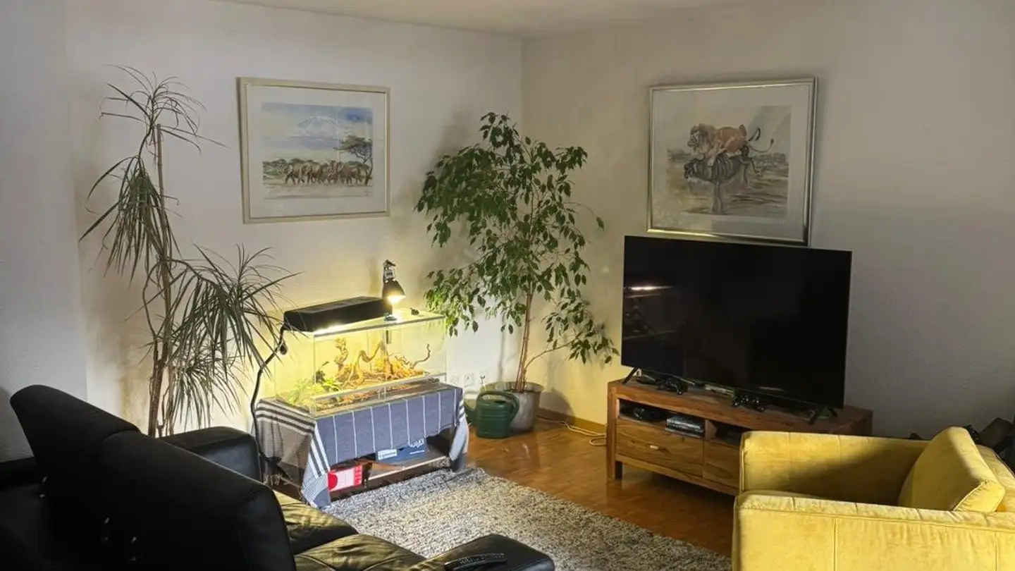 Apartment for rent - Dorfstrasse 24, 8606 Greifensee - Photo 4