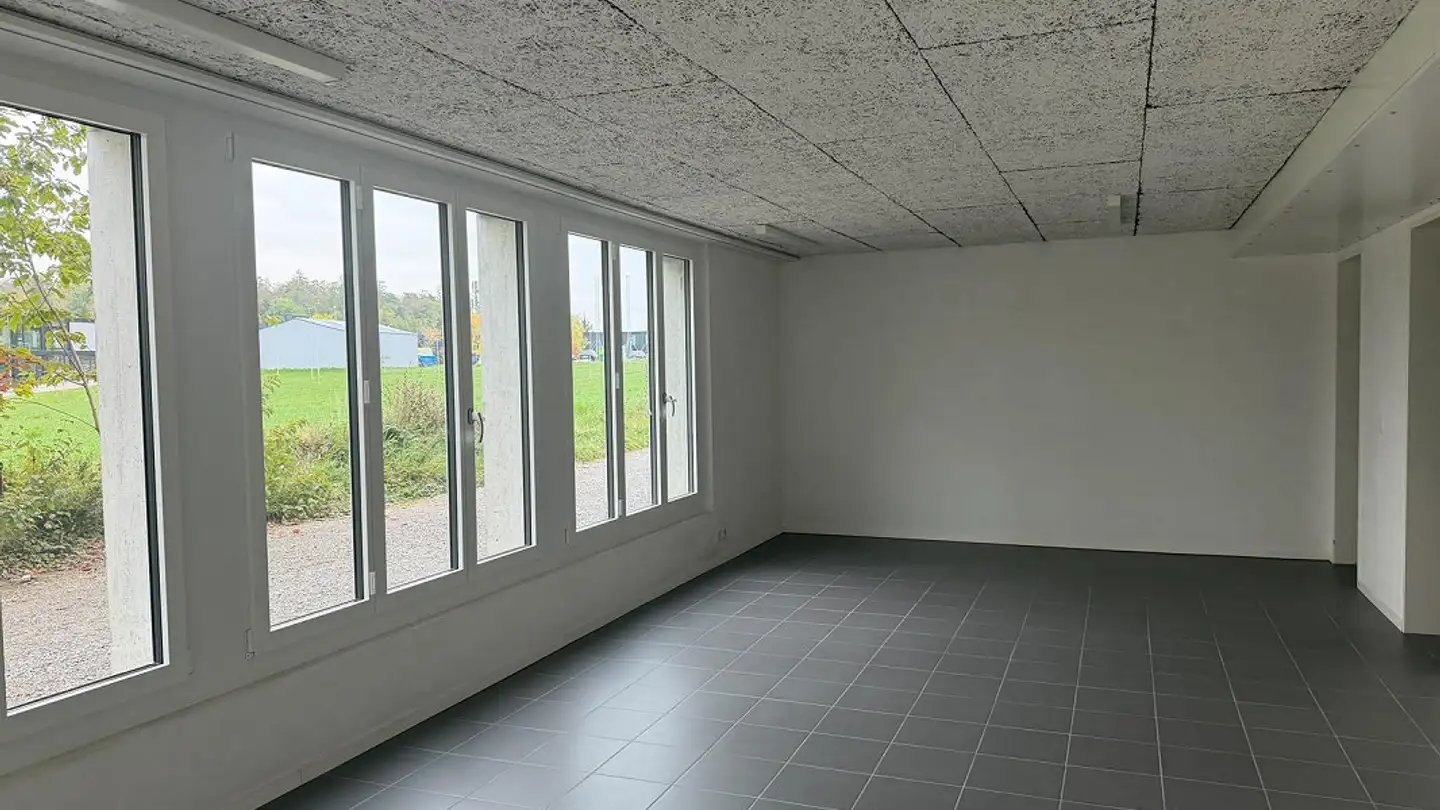 Studio for rent - Längistrasse 14, 8132 Egg b. Zürich