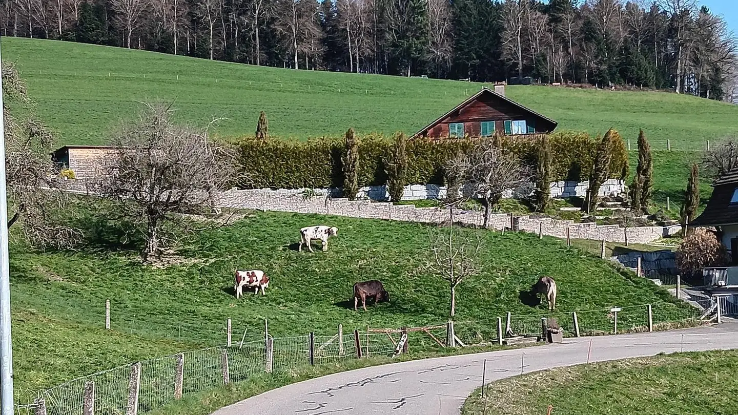 Einfamilienhaus kaufen - Dörfli 12, 4919 Reisiswil - Foto 2