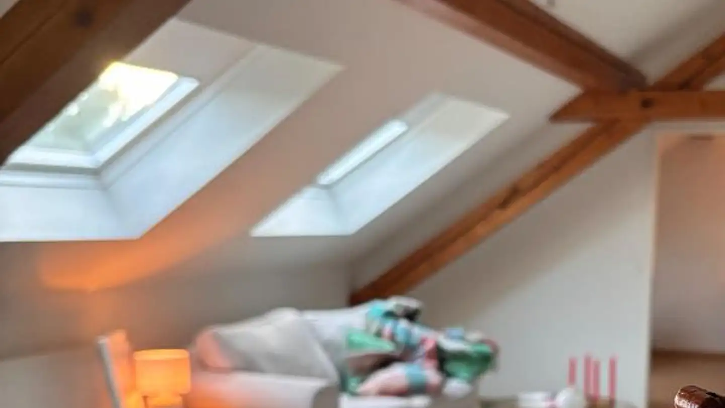 Attique à louer - Mittlere Strasse 10, 4056 Basel