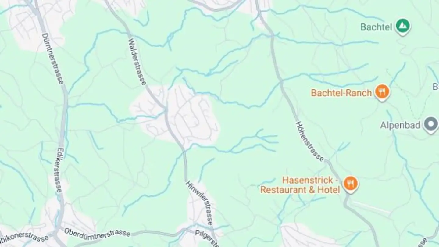 Wohnung kaufen - 8340 Hinwil