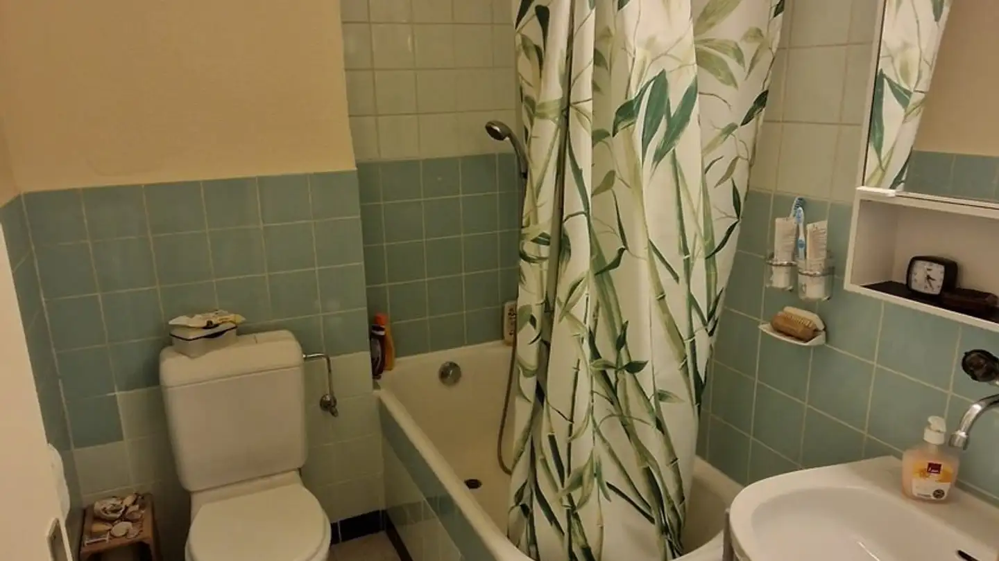 Appartamento in affitto - Chemin Des Avelines 12, 1004 Lausanne - Foto 3