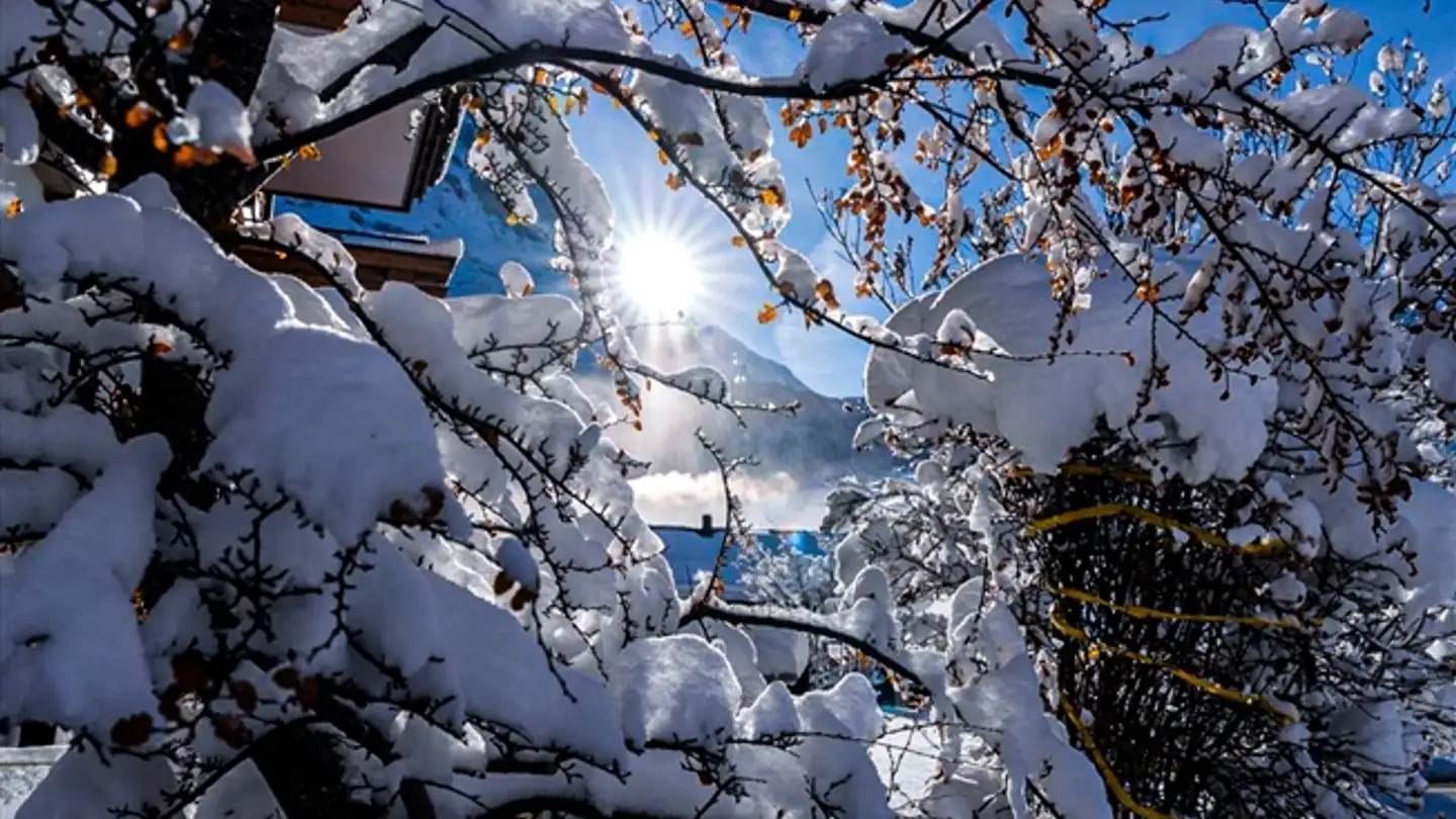 Appartement à vendre - 3707 Därligen - Photo 3