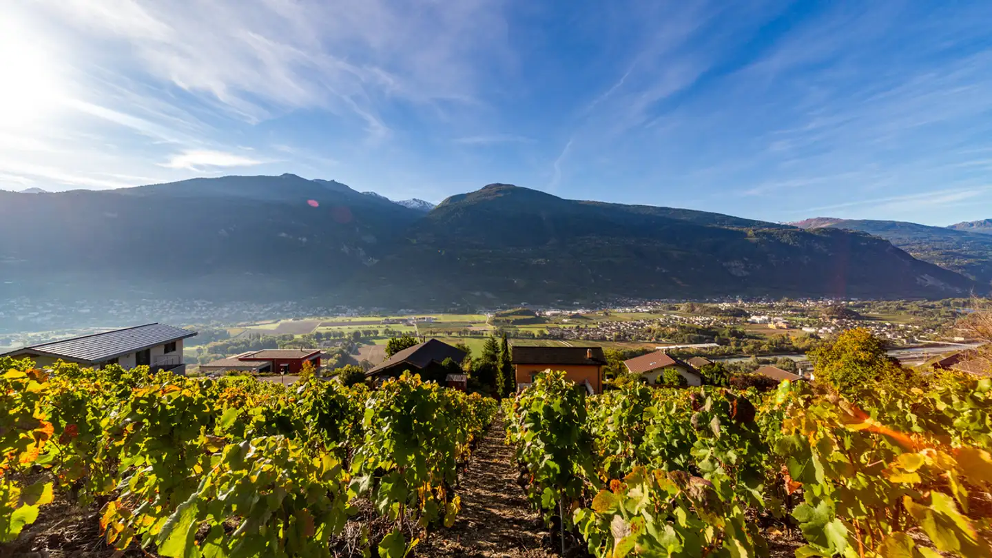 Terreno edificabile in vendita - Route De Crans-Montana, 3963 Montana - Photo 4