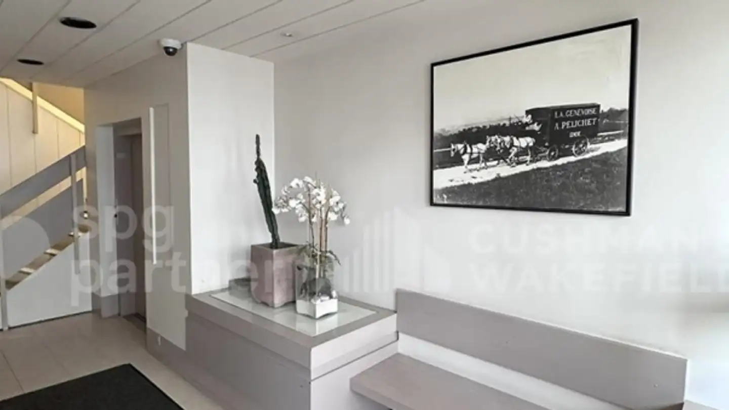 Spazio ufficio in affitto - Route Des Jeunes 55, 1212 Grand-Lancy - Photo 3