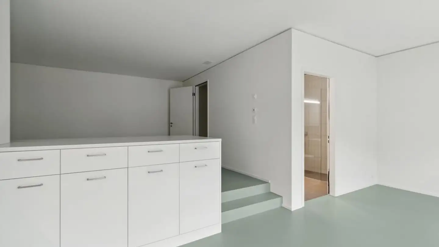 Duplex à louer - Wydäckerring 71, 8047 Zürich - Photo 3