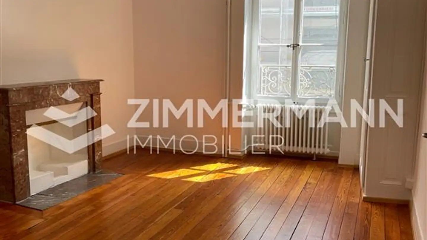 Appartement à louer - Rue Des Savoises, 1205 Genève - Photo 2