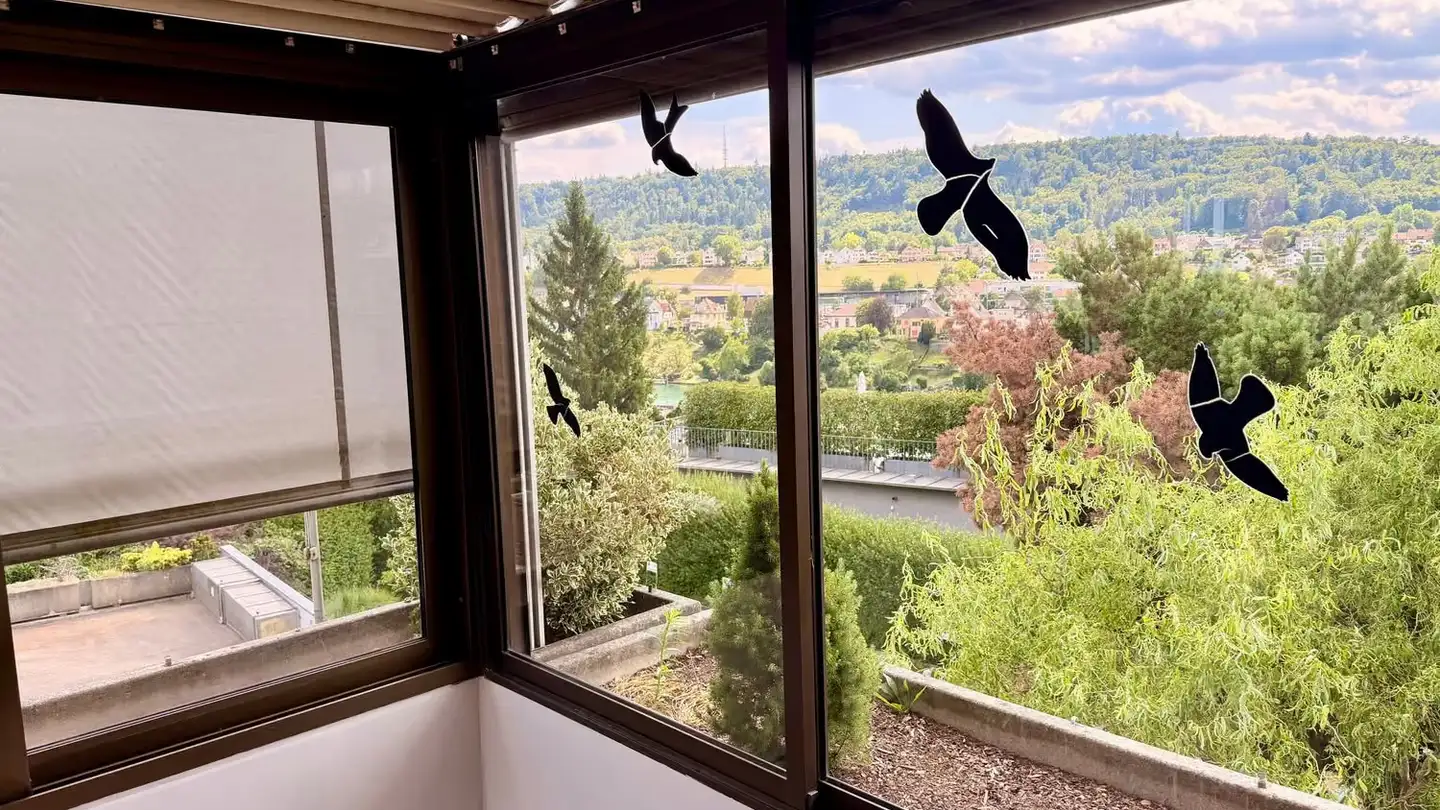 Maison en terrasse à louer - Furkastrasse 76, 8203 Schaffhausen - Photo 4