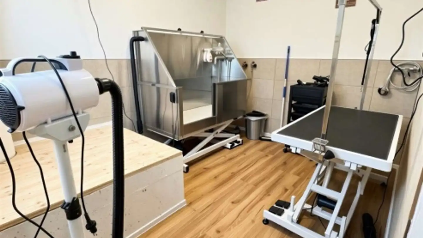 Studio medico in affitto - 3752 Wimmis - Foto 3