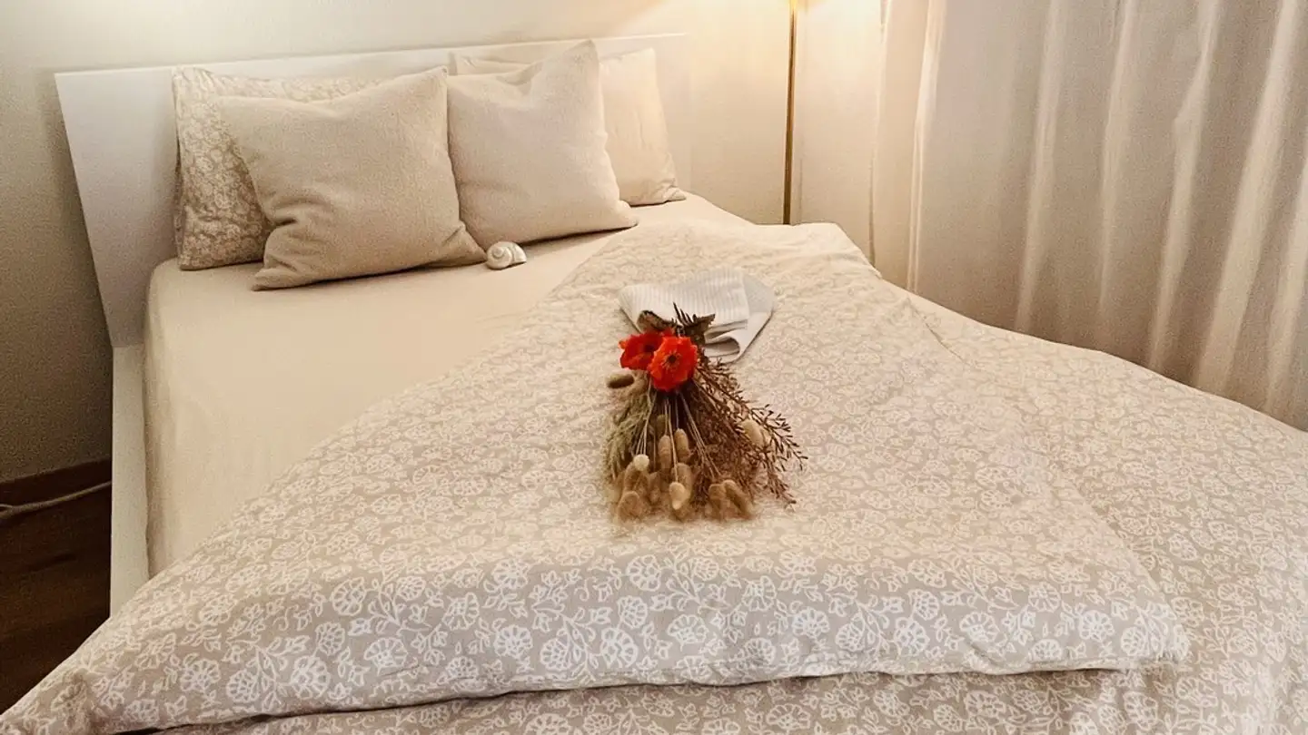 Apartment for rent - Oberer Chämletenweg, 6333 Hünenberg See