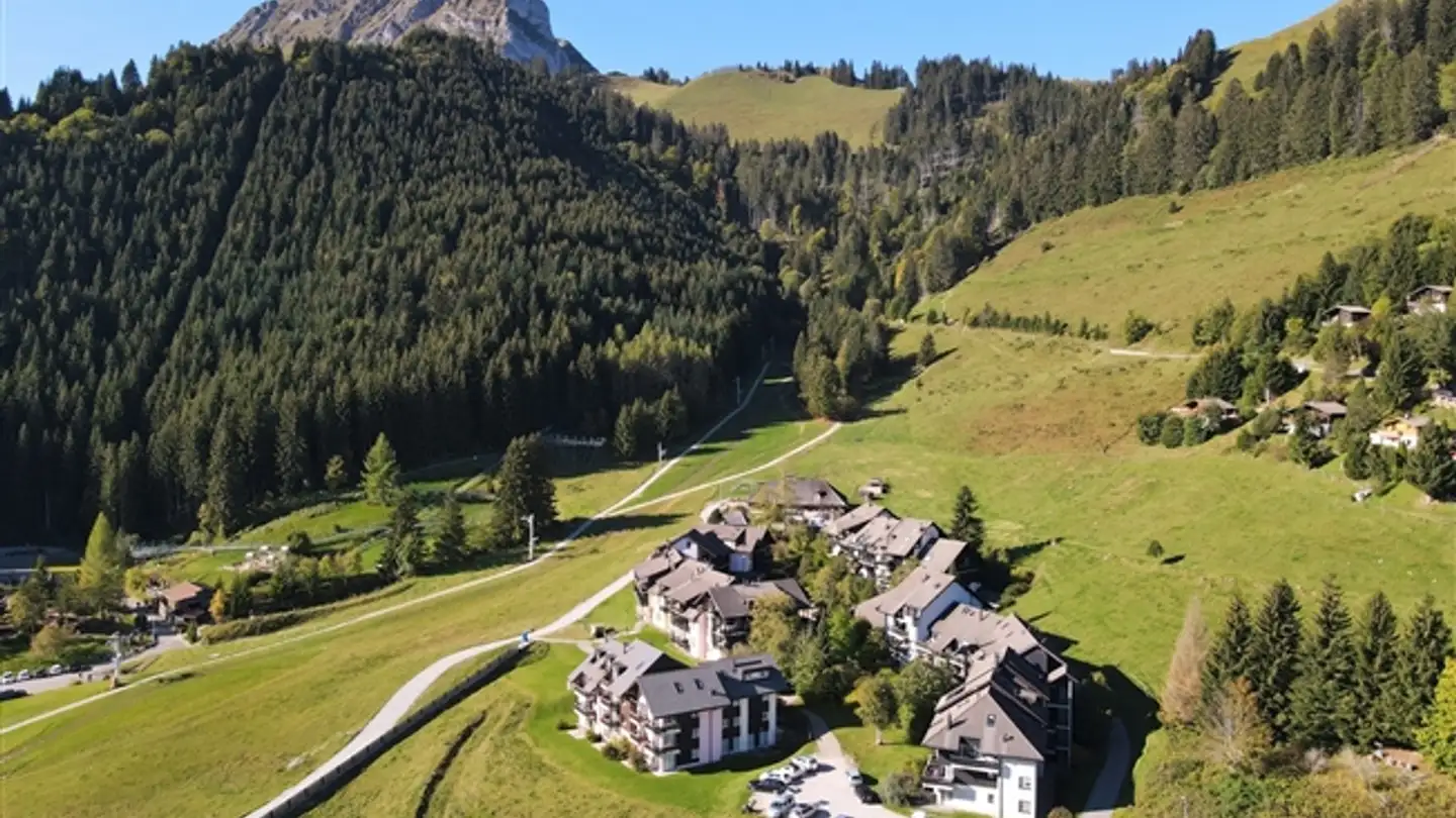 Appartement à vendre - Moléson, 1663 Moléson-sur-Gruyères