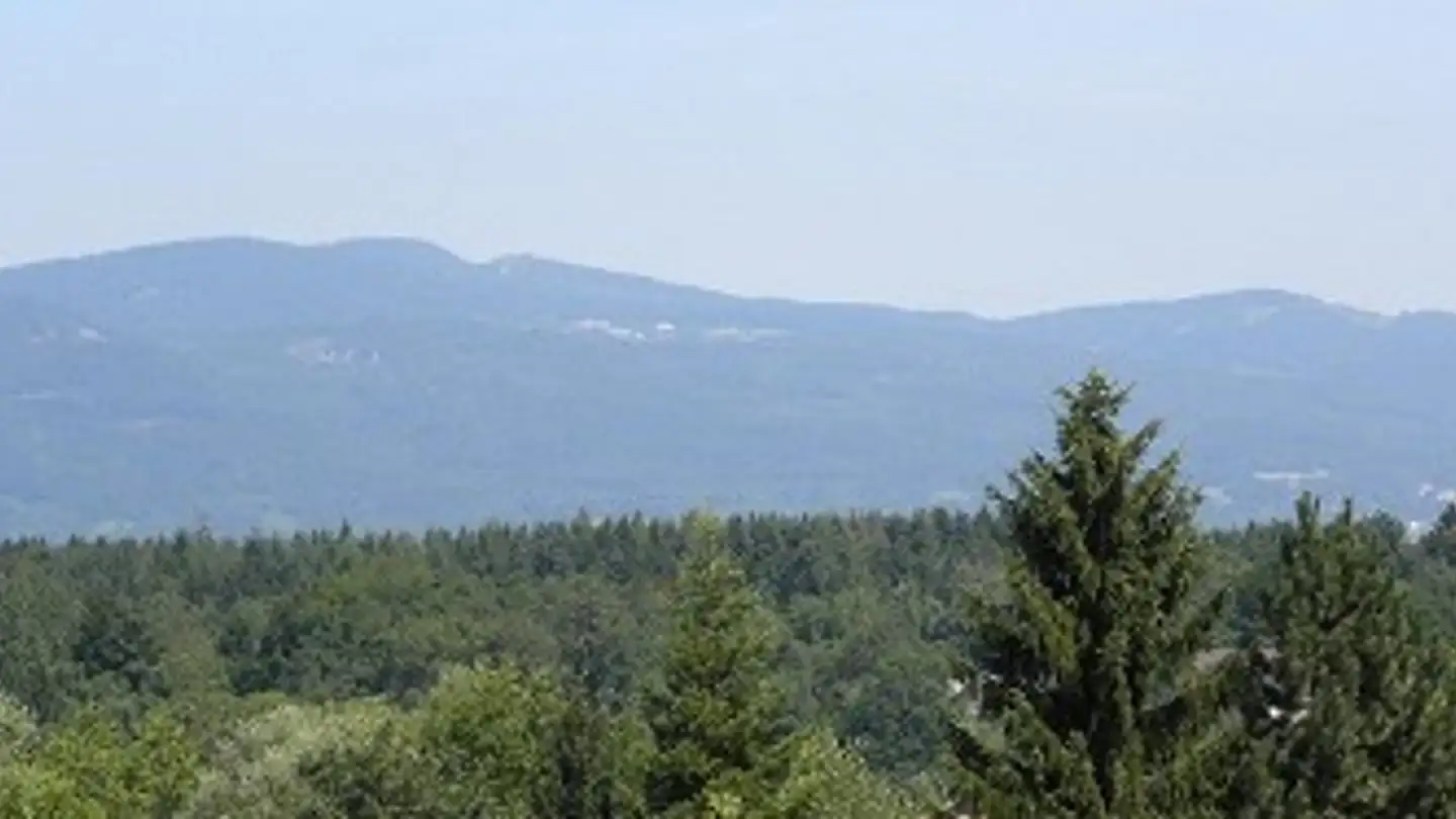 Bauland kaufen - Bernstrasse, 4923 Wynau - Foto 4