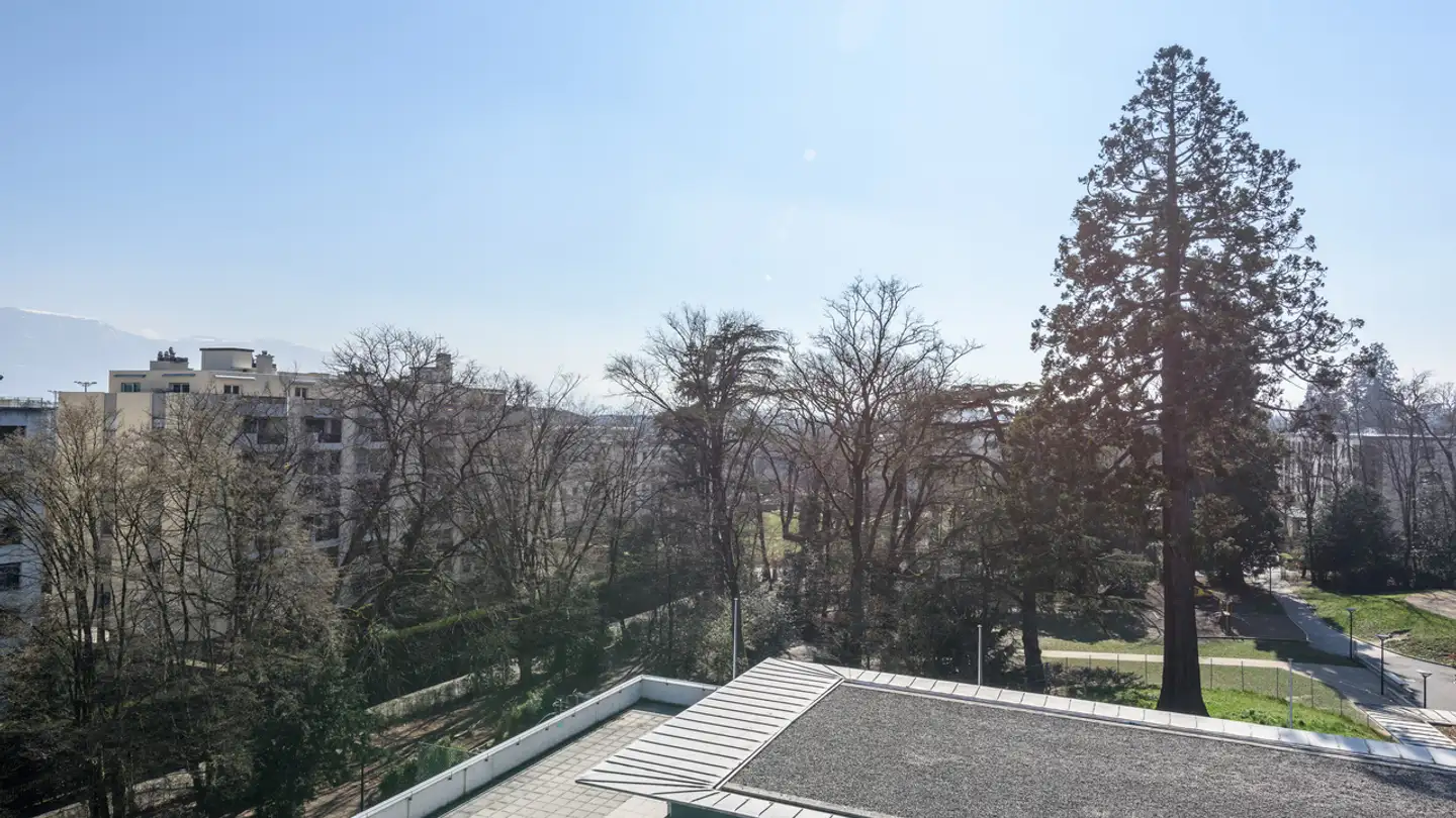 Attic flat for rent - Chemin De La Rochette, 1202 Genève - Photo 2