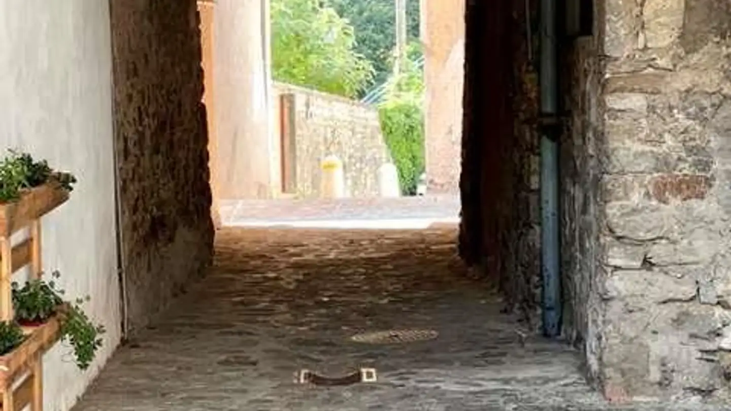 Appartamento in vendita - 6981 Bedigliora - Photo 4