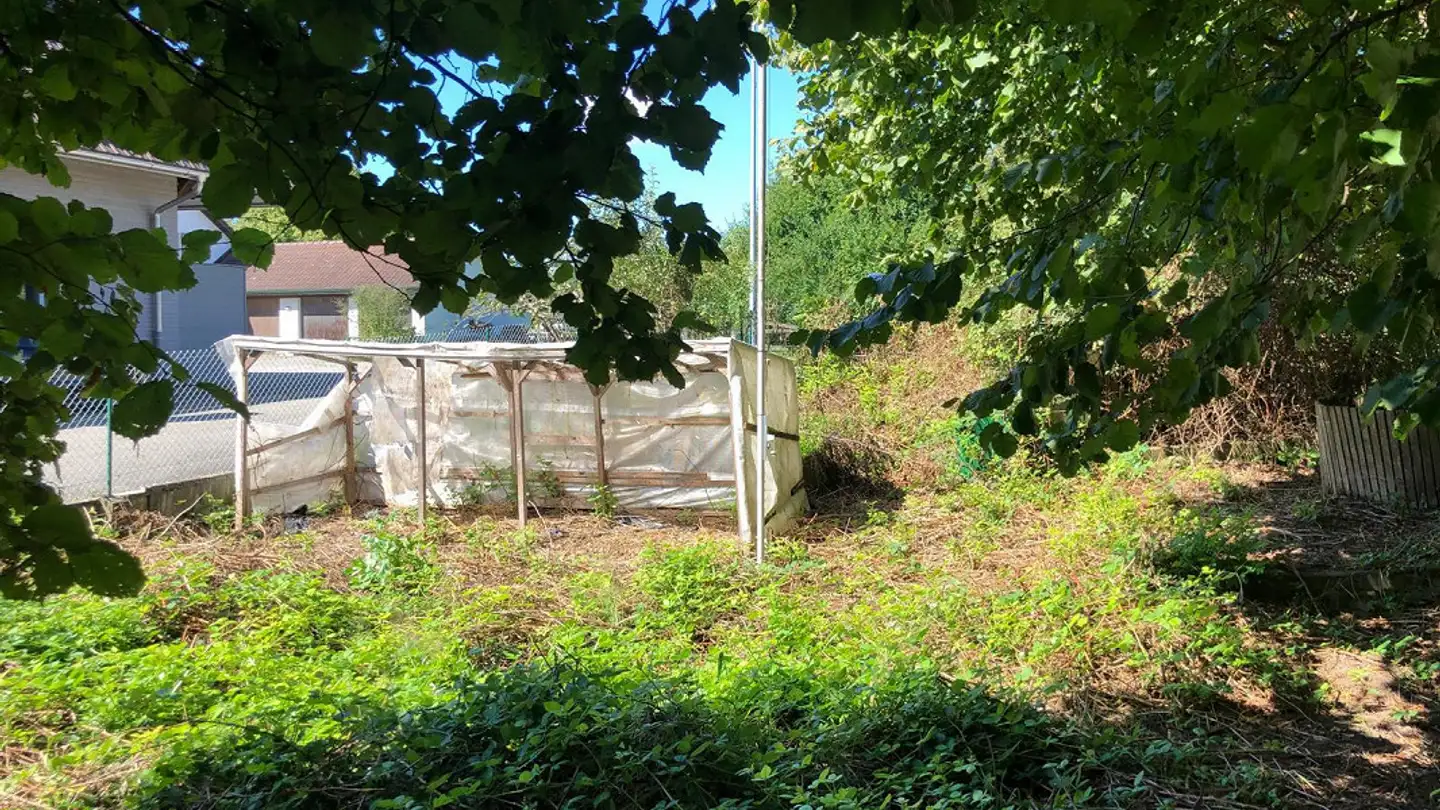 Laboratorio in affitto - Brüggstrasse 55, 2552 Orpund - Photo 2