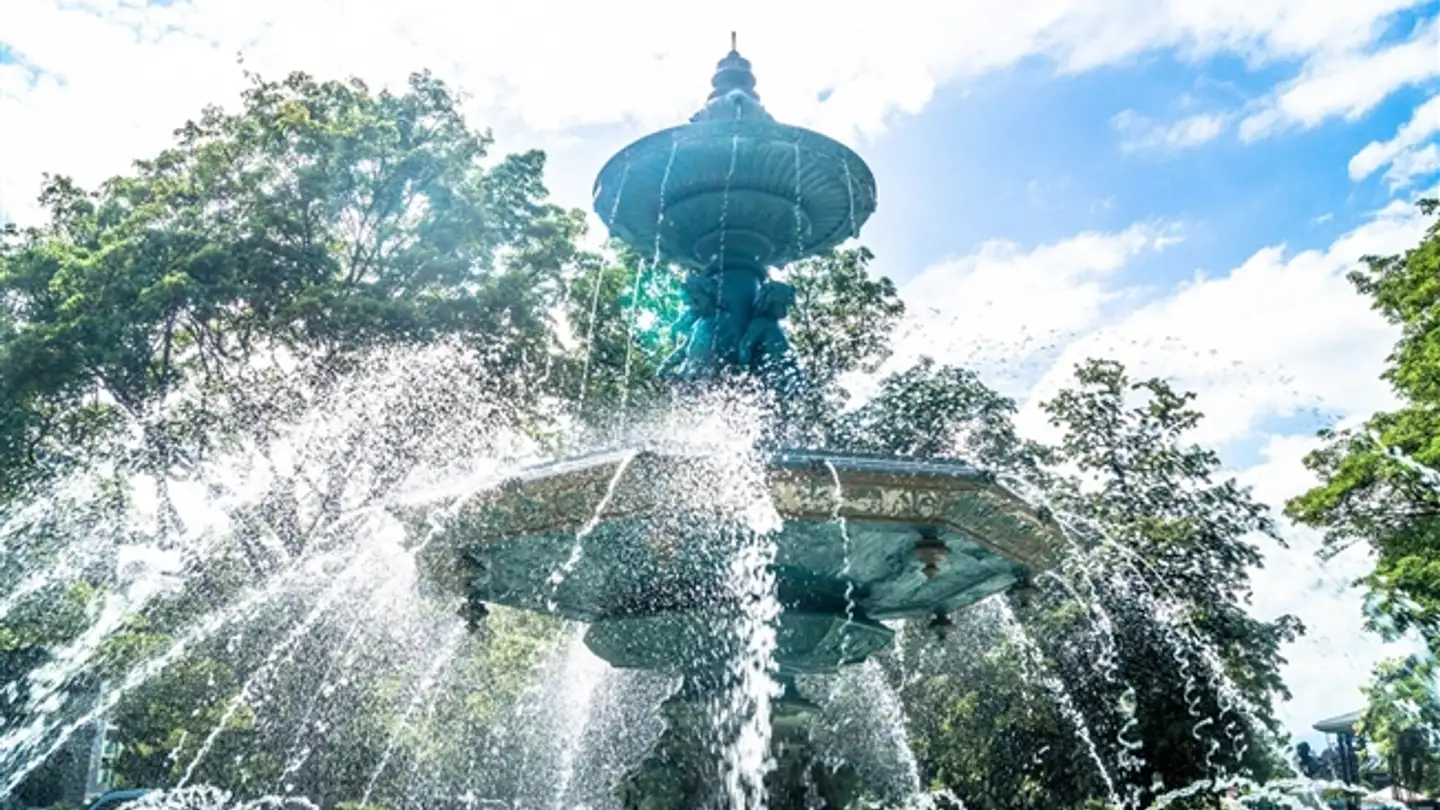 Café à vendre - 1207 Genève - Photo 4