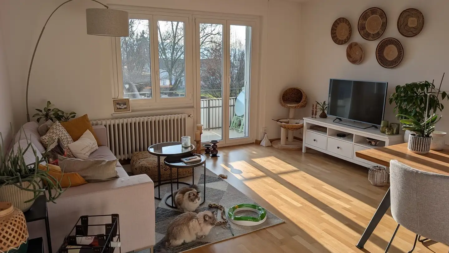 Chambre à louer - Lachenacker 9, 8049 Zürich - Photo 3