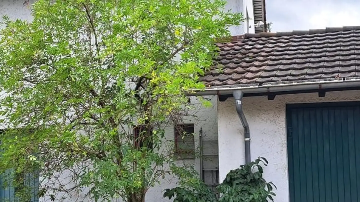 Single house for rent - Kriesbachstrasse, 8600 Dübendorf