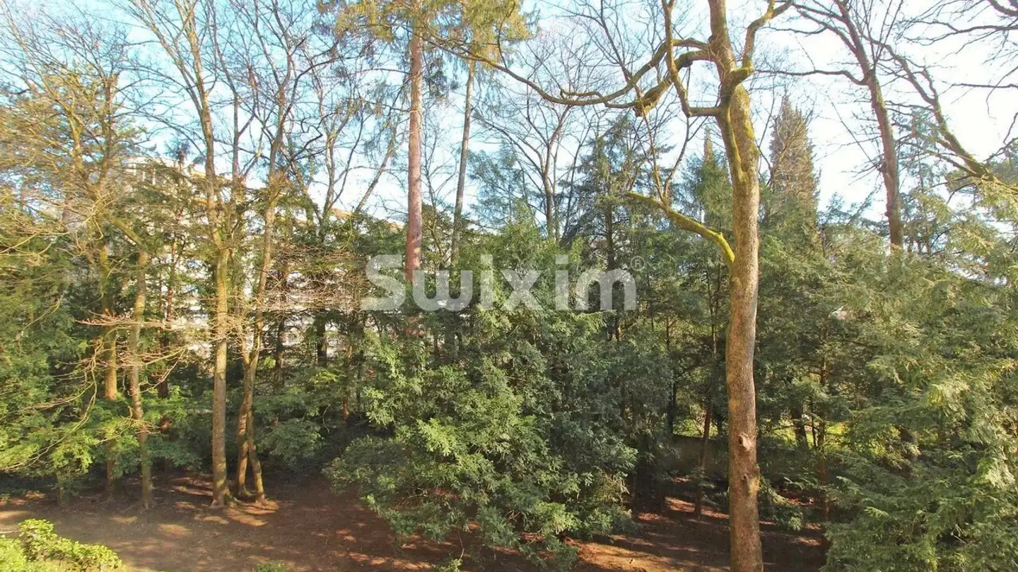 Appartamento in vendita - Chemin Du Petit-Saconnex, 1209 Genève