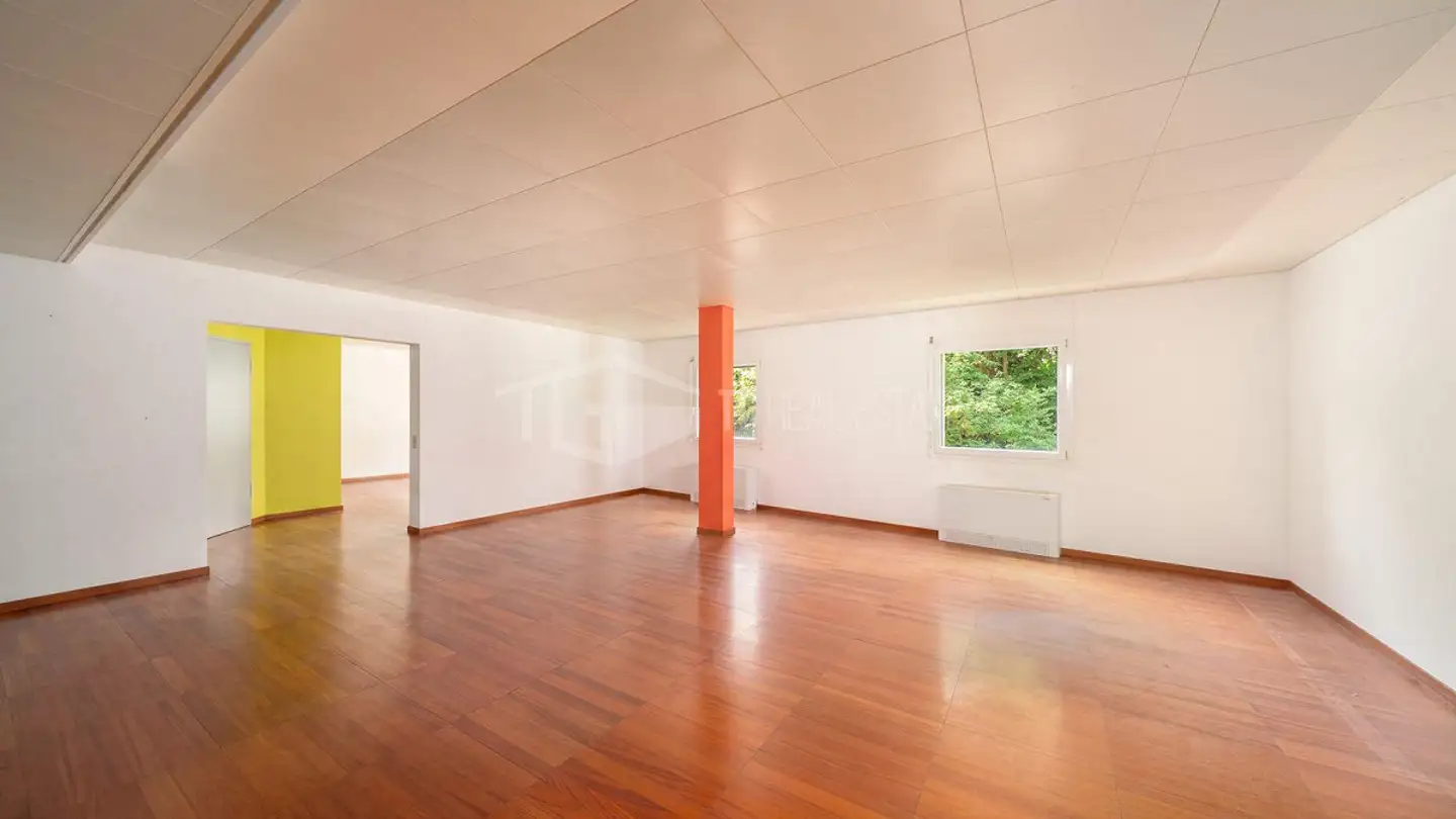 Commercial for sale - Via San Gottardo, 6942 Savosa - Photo 4