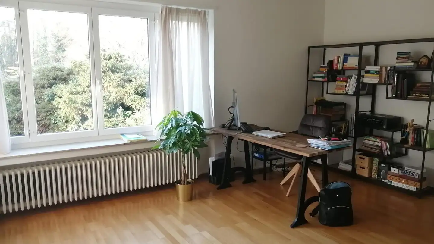 Appartamento in affitto - Alte Landstrasse 135, 8702 Zollikon - Foto 4